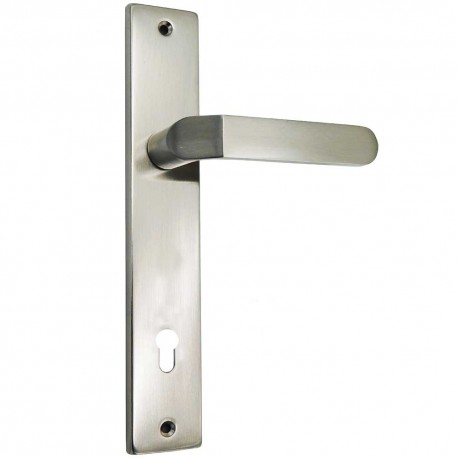 HANDLE WITH LONG PLATE SATIN NICKEL...