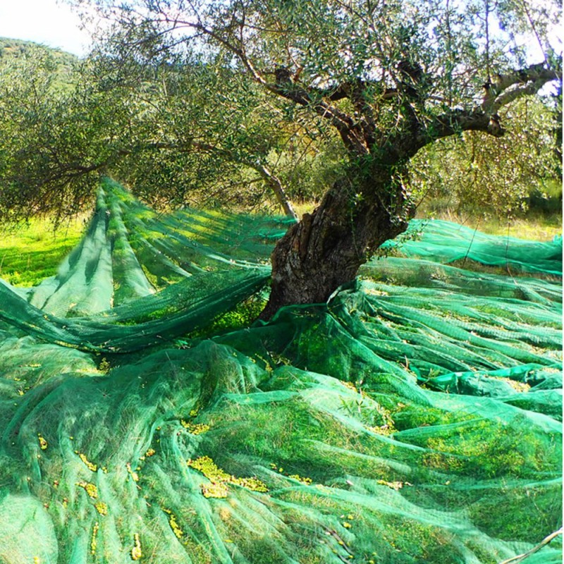 ΕΛΑΙΟΔΙΧΤΑ 90gr 8Χ14m ΜΕ ΜΠΟΥΤΟΥΖΙΑ