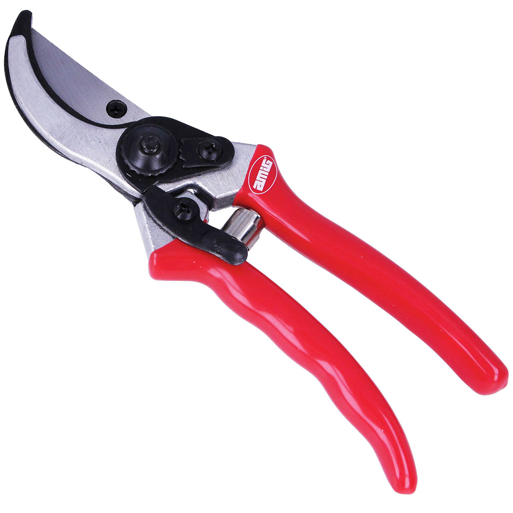 ΨΑΛΙΔΙΑ ΚΛΑΔΟΥ AMIG P12 - 8 1/2"
